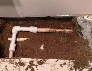 新城测漏水哪家好