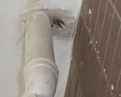 新城漏水检测哪家好